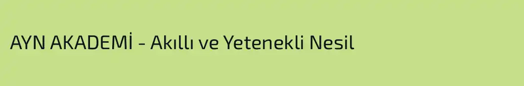 AYN AKADEMİ - Akıllı ve Yetenekli Nesil